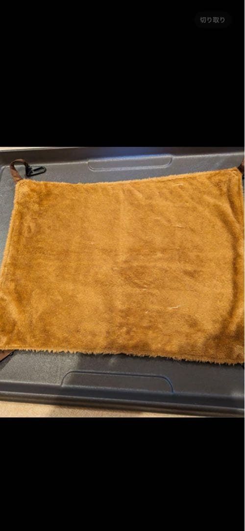 ボンビアルコンウッドワンサークルキャットミニ