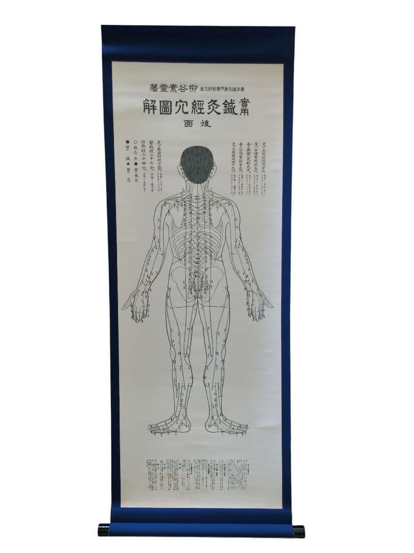 柳谷素霊　実用 鍼灸経穴図解 前後面 掛軸