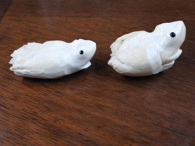 マッコウクジラ歯　カエル彫　M702