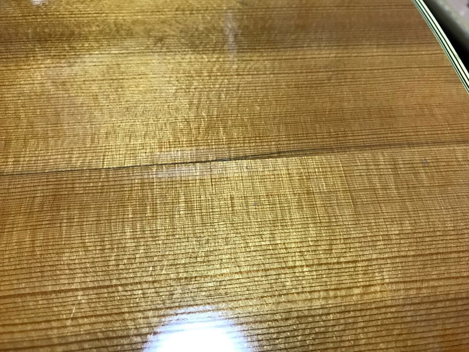 Morales LYRE BIRD M-50 セミハードケース付き