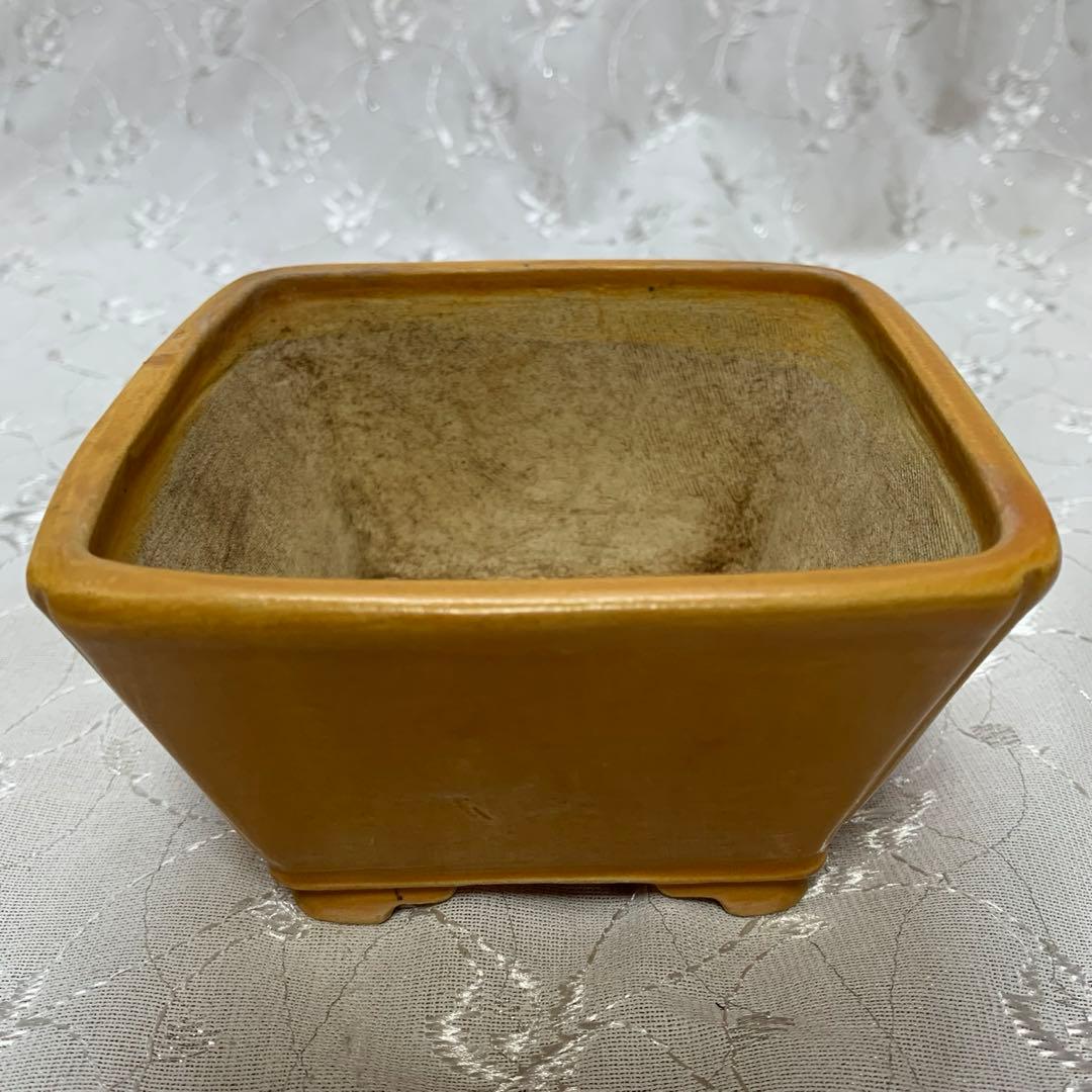 土交　正方　深め　盆栽鉢