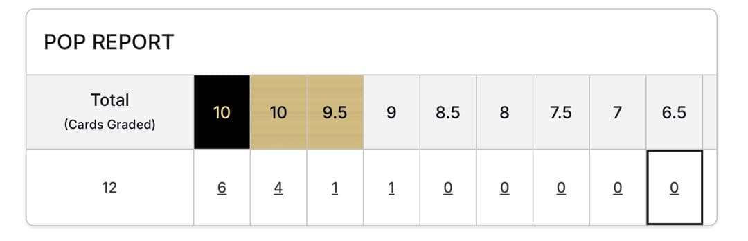 ヴァイス　角川スニ文　vol2 精神的露出狂　アーリャ　SP BGS 黒10