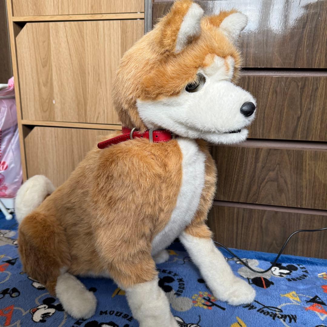 電動ペット ペットロボット ココチモ 愛犬しばちゃん 等身大 柴犬