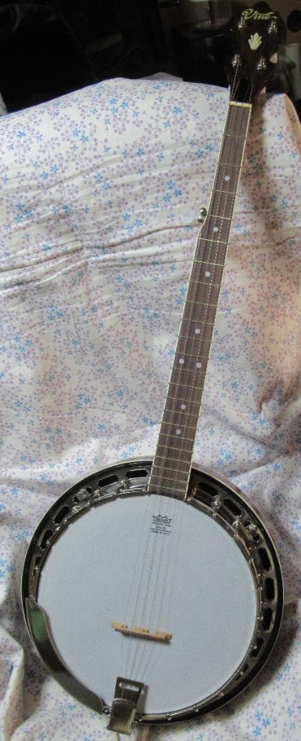 ★☆【大幅値下げしました！！】5弦バンジョー（ケース付き）