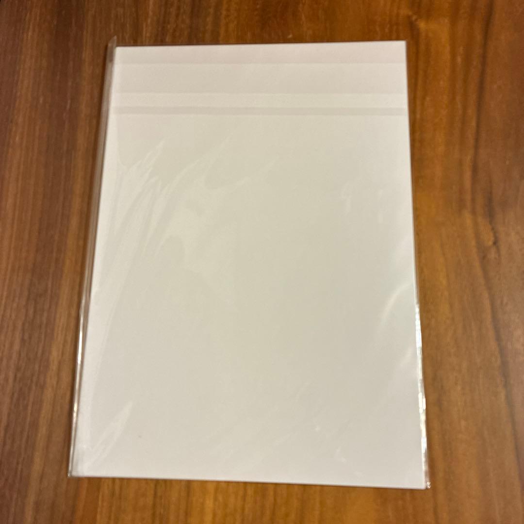 ラスボスの私が主人公の妻になりました　ミニポスター