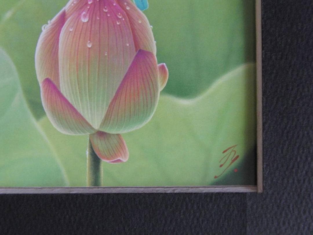 山地司、【蓮とカワセミ1】、希少な額装用画集より、厳選、新品額装