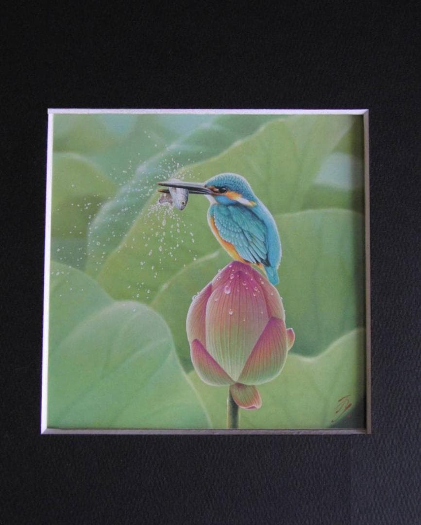 山地司、【蓮とカワセミ1】、希少な額装用画集より、厳選、新品額装