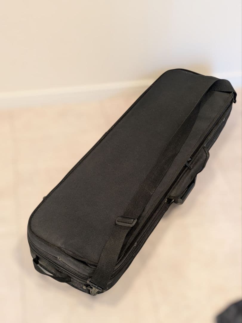 4/4 バイオリン 韓国製 その他付属品 セミハードケース付き