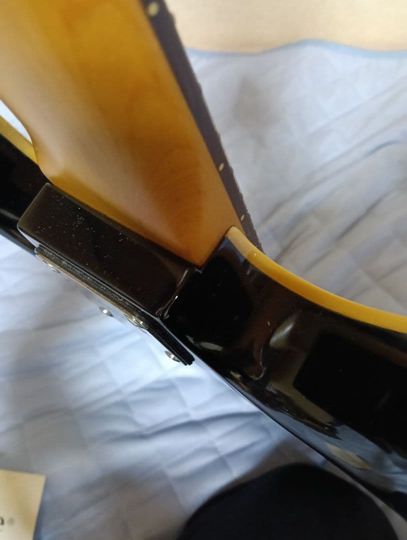 シェクター7弦ギター by progaeuge(プロゲージ)