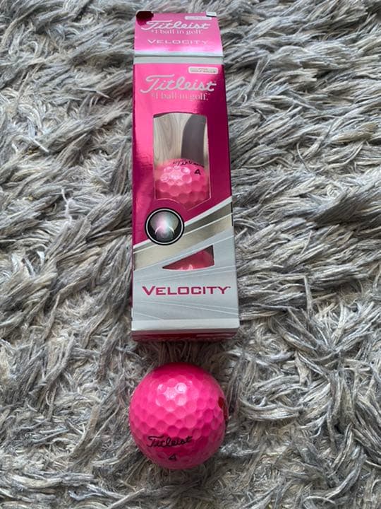 スコッティキャメロン　ハンドバッグ