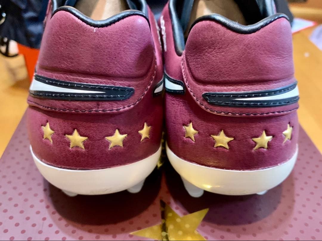 NIKE ティエンポレジェンド6 SE FGアンドレア ピルロ　25.0cm