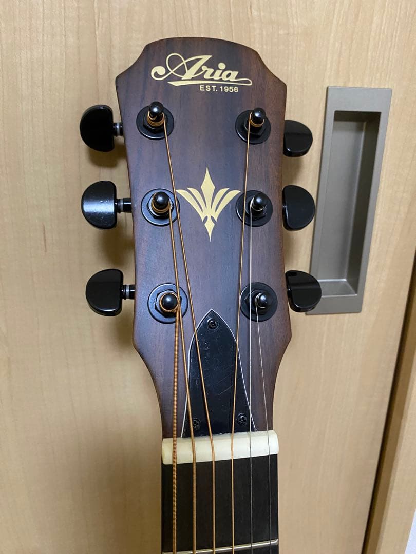 ARIA アリア FET-F2 STBR エレアコ