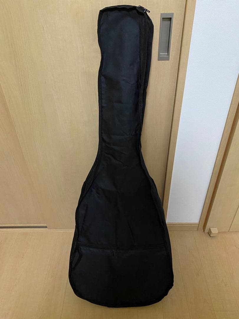 ARIA アリア FET-F2 STBR エレアコ