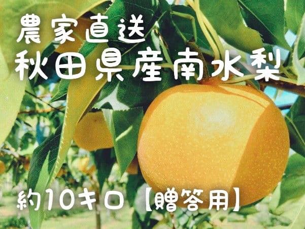 (10玉〜12玉サイズ南水梨)約10kg贈答用★送料込★秋田県産