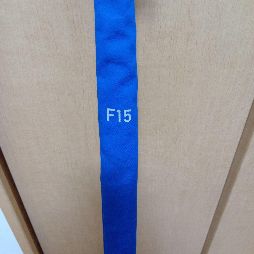 ダイワ へらF 15 E