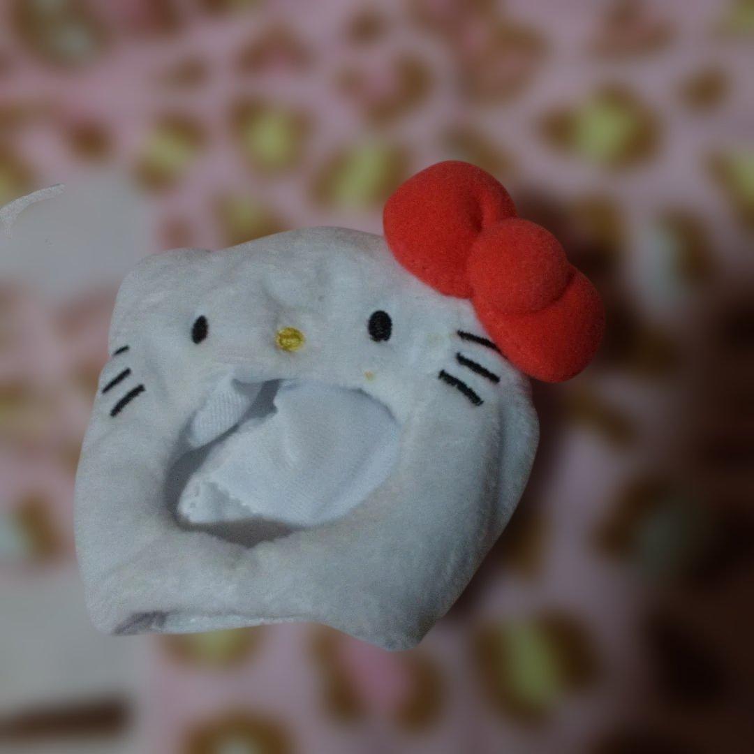 超激レア‼️希少‼️プレミア‼️着せ替えキティ‼️可愛い着ぐるみです