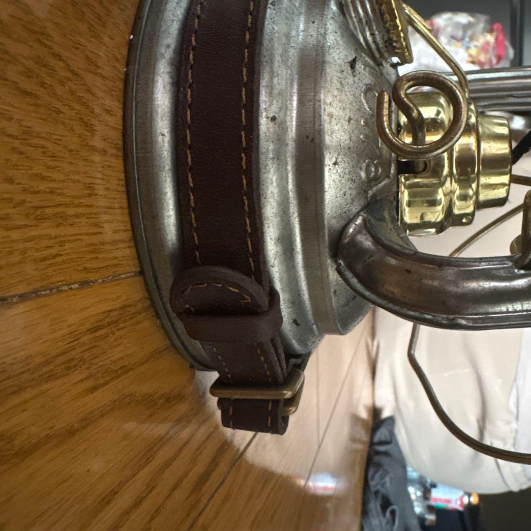 デイツ78 イワタデンキストームカッペ