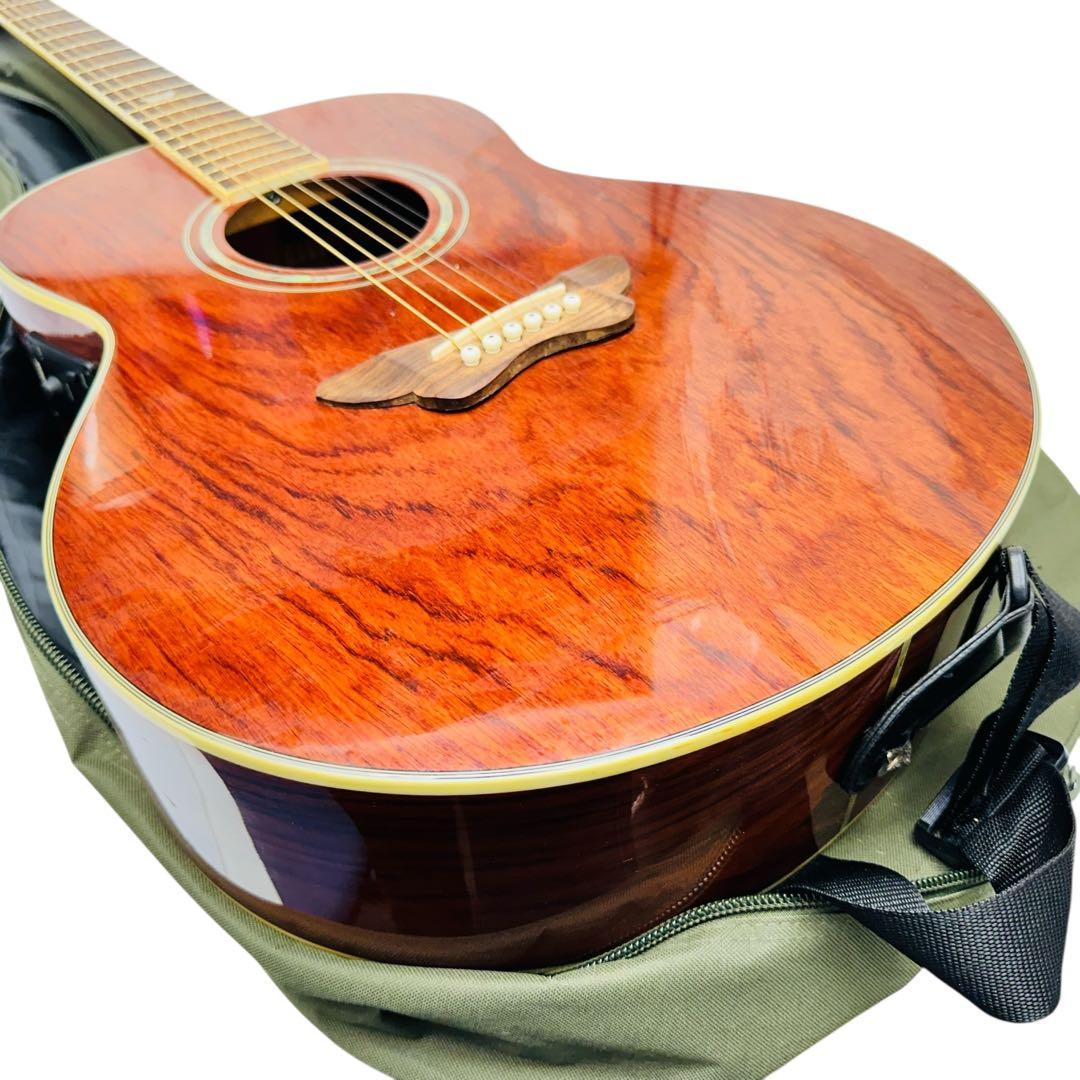 DAISY ROCK エレアコ　6280