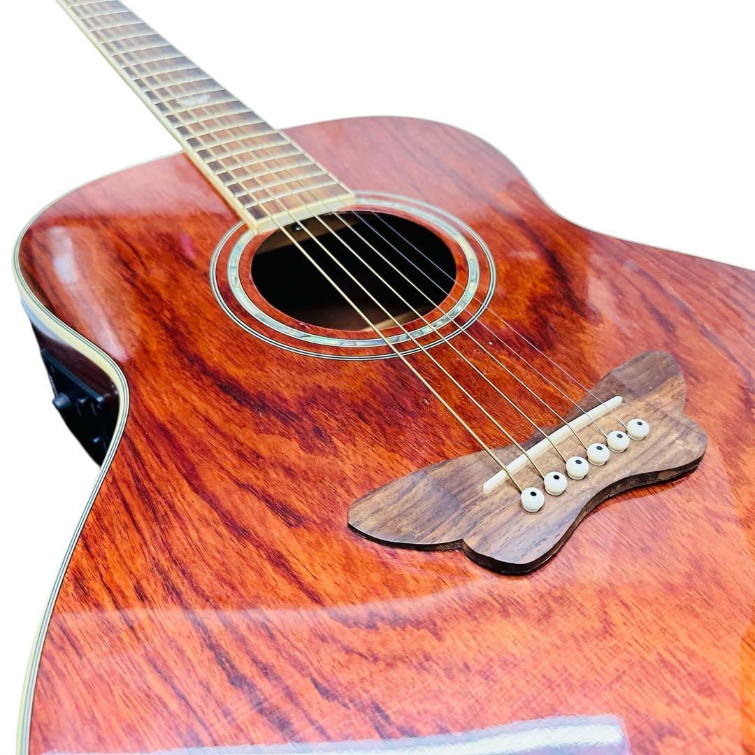 DAISY ROCK エレアコ　6280