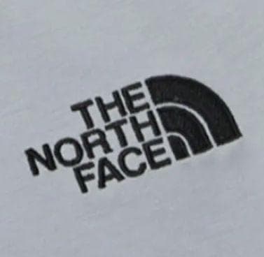 韓国限定 日本未発売 ノースフェイス M 薄手 さらてろ グレー パーカー 春