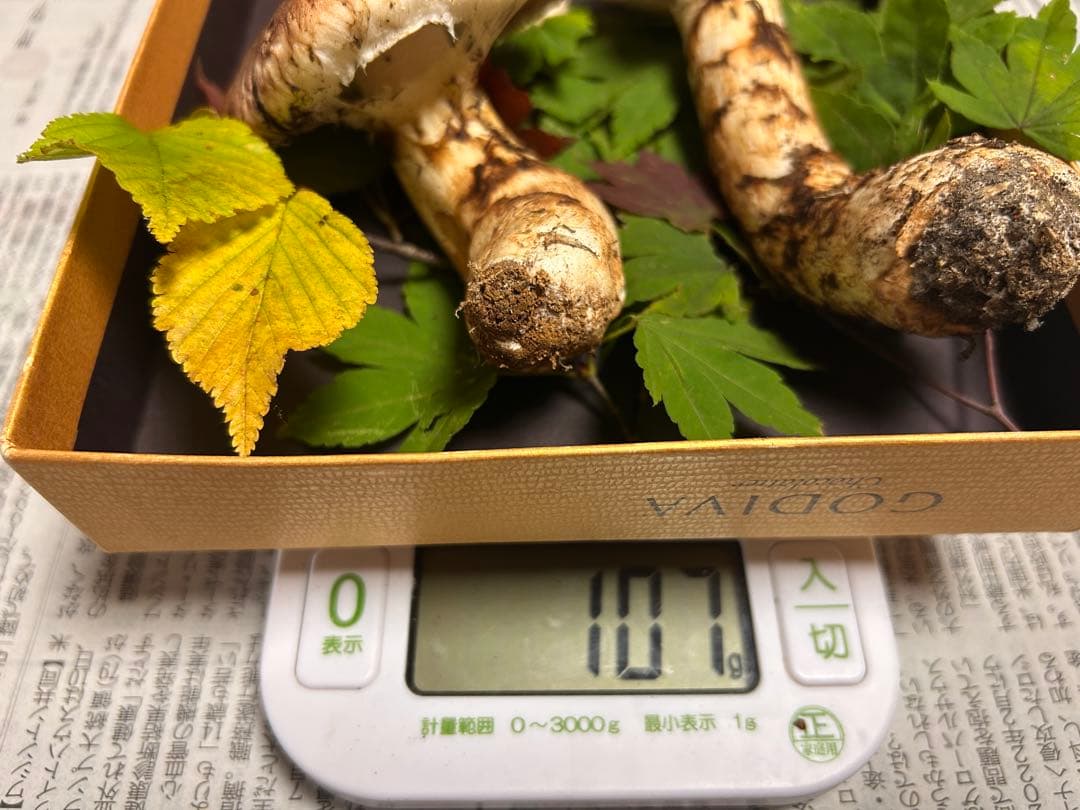 ＊山形県産＊ 松茸　107g