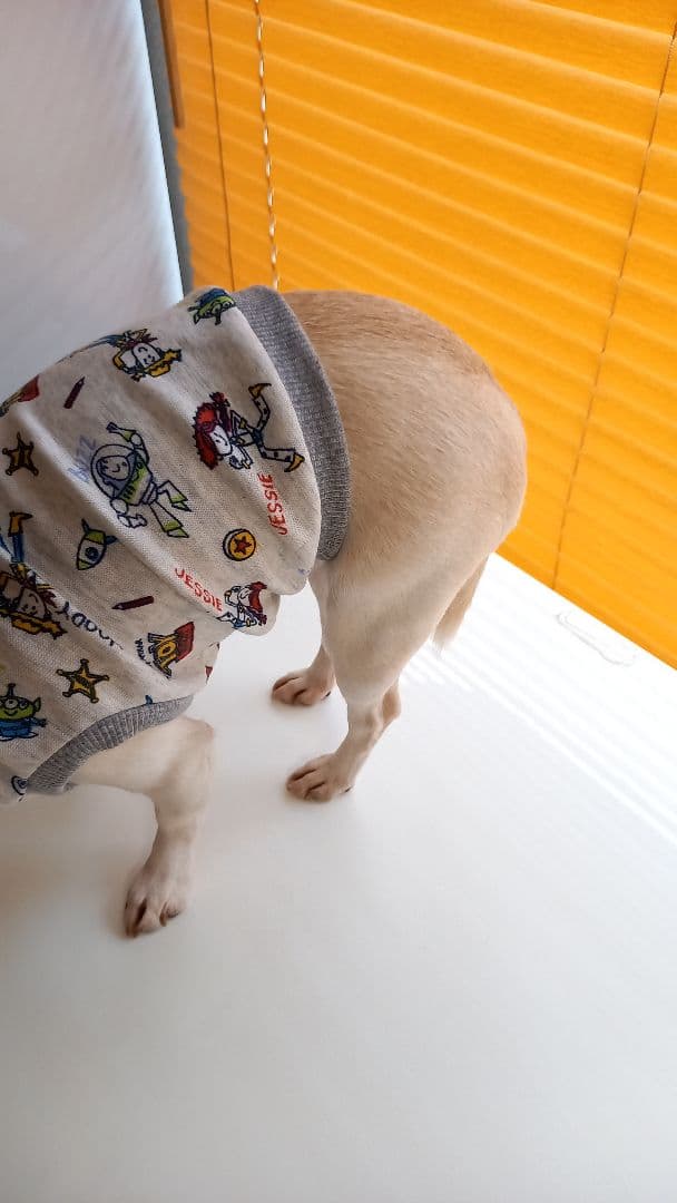 犬の服　スカートのみ　500円