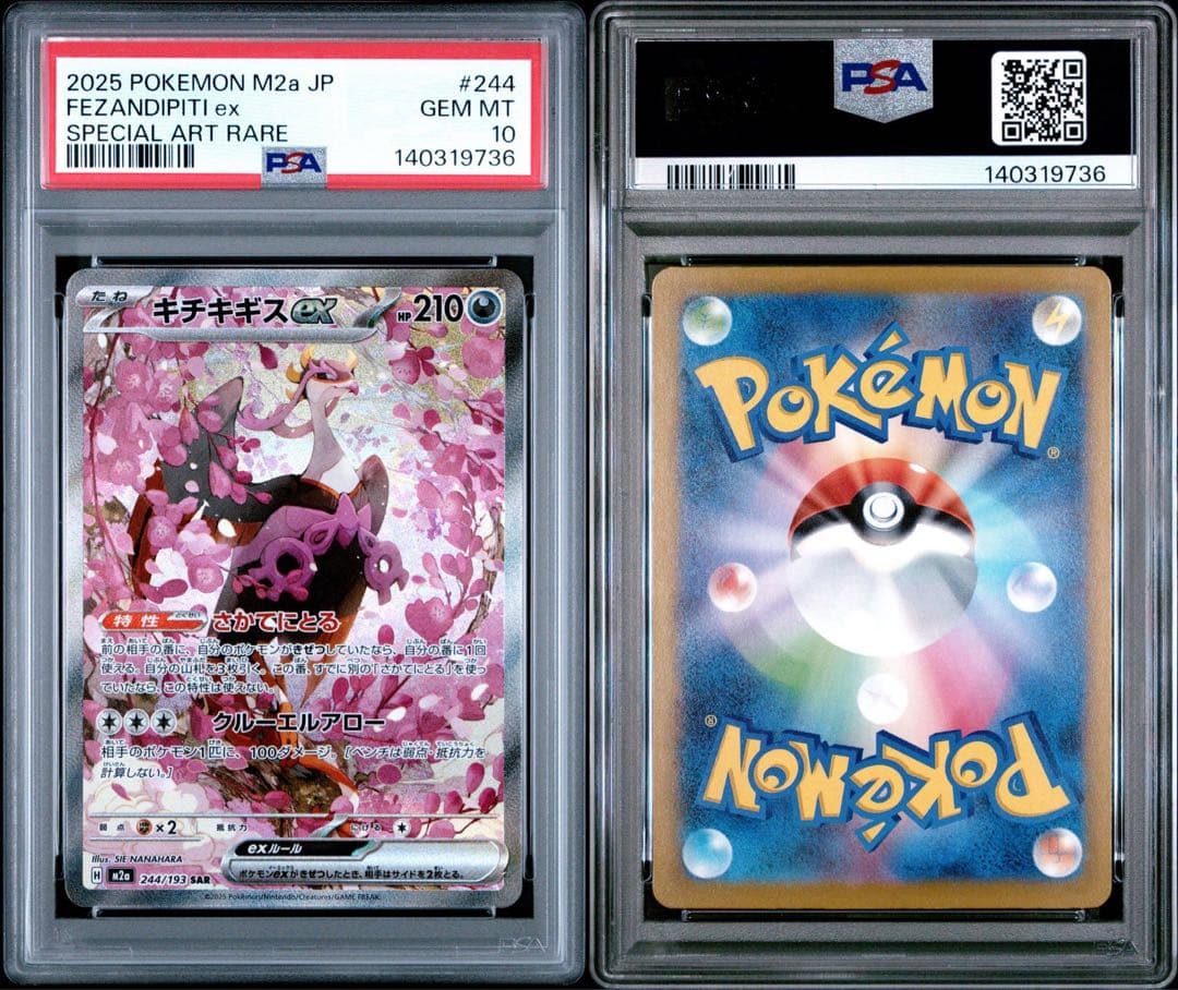 キチチギスex sar PSA10★ PSA10枚数100枚☆極美品　希少