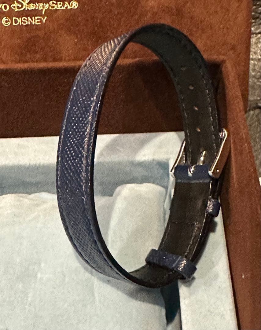 限定【東京ディズニーシー】ダッフィー 腕時計 オリジナルウォッチ 2010年