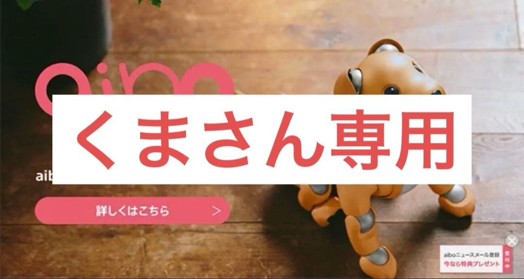 aibo キャラメル　くまさん専用