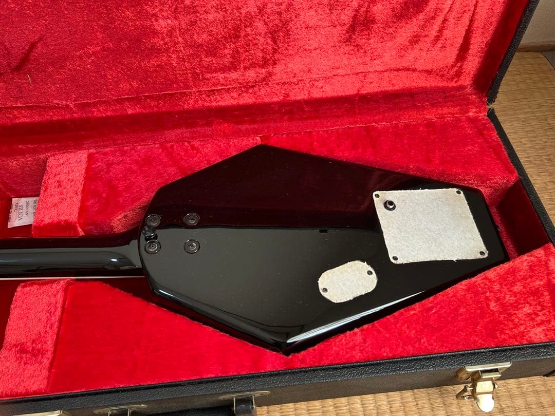 FERNANDES Lucy KANOKE 棺桶 BUCK-TICK 今井寿