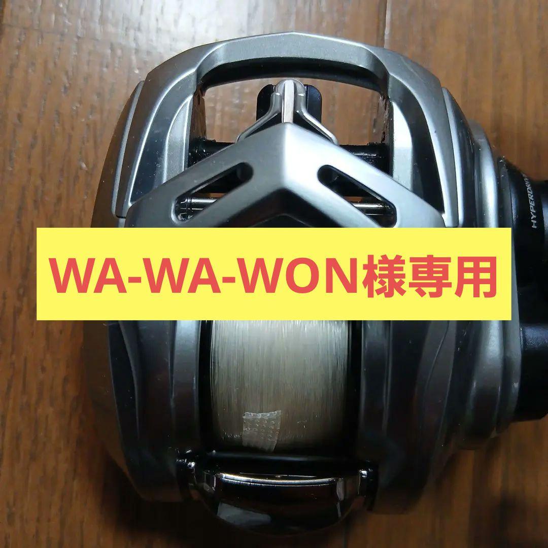 【美品】ダイワ　アルファス SV TW 800H　　ベイトリール