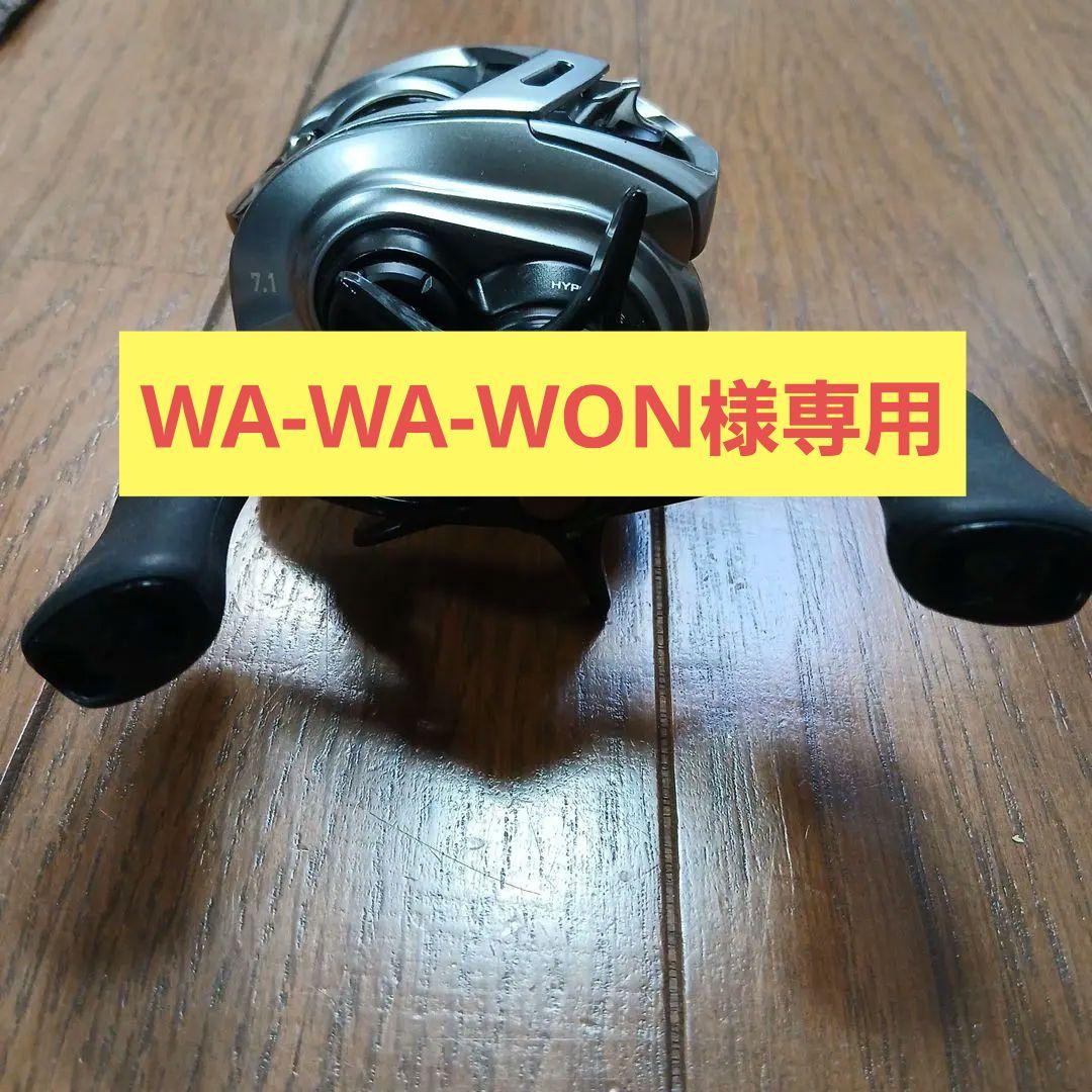 【美品】ダイワ　アルファス SV TW 800H　　ベイトリール