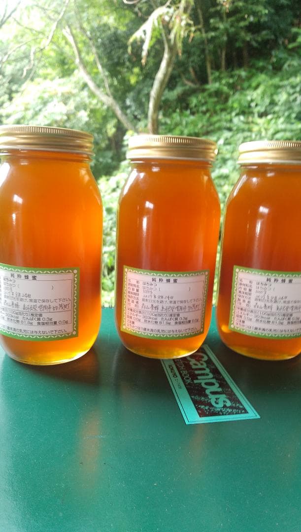 日本ミツバチ蜂蜜百花蜜　1000ｇ3本