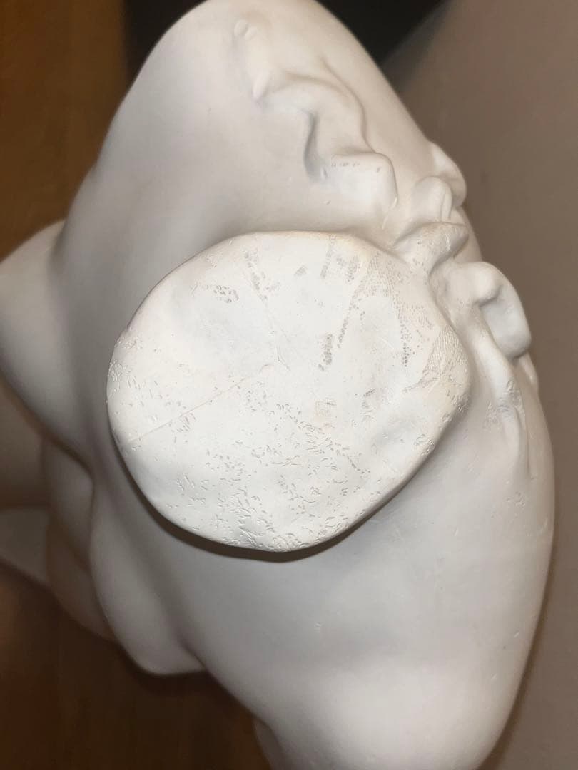 石膏像　裸婦像 ヴィーナス