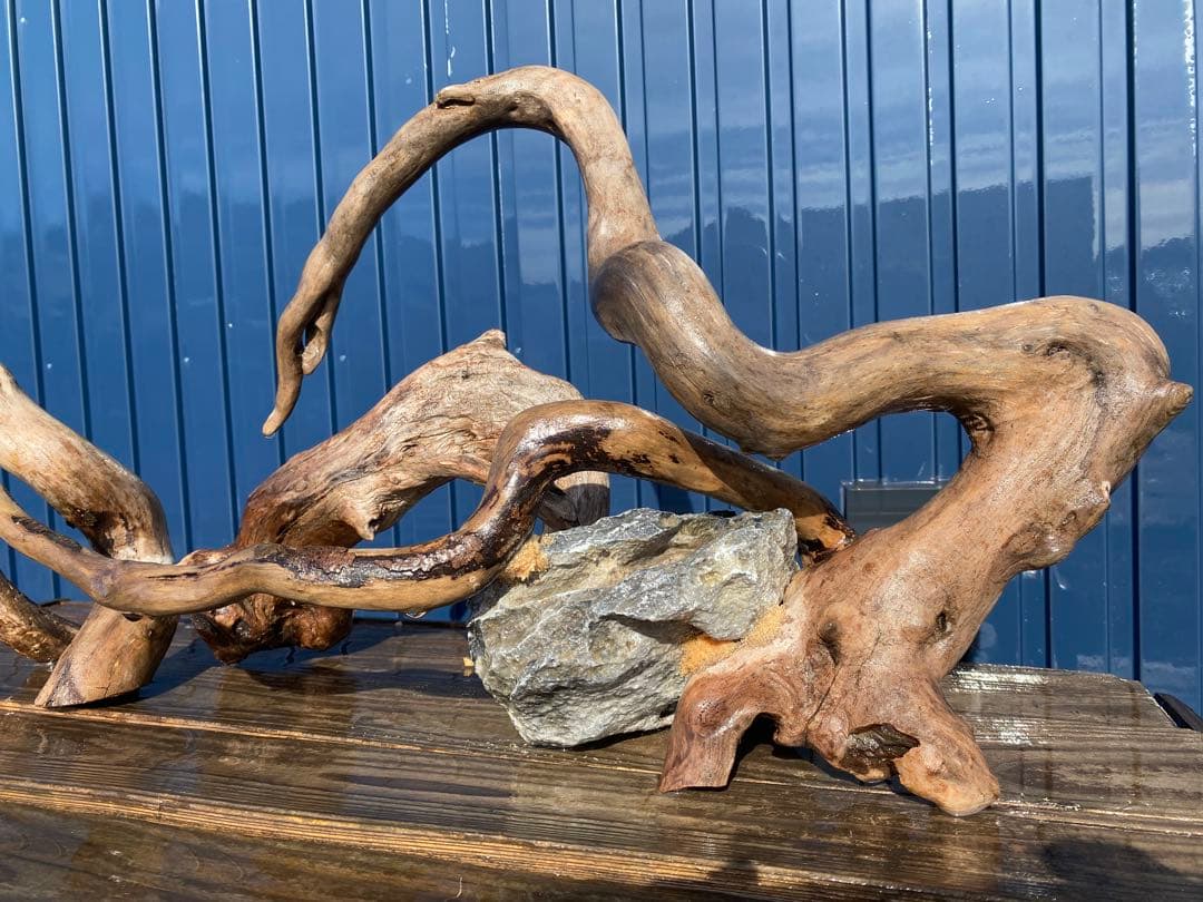 流木レイアウト 超大型　A862