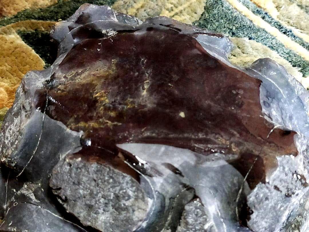 ♥中国　端渓　硯　石眼あり　端渓硯　骨董品