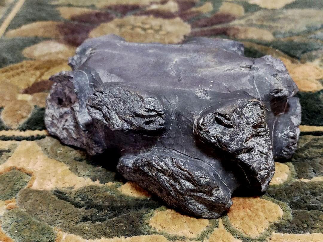 ♥中国　端渓　硯　石眼あり　端渓硯　骨董品