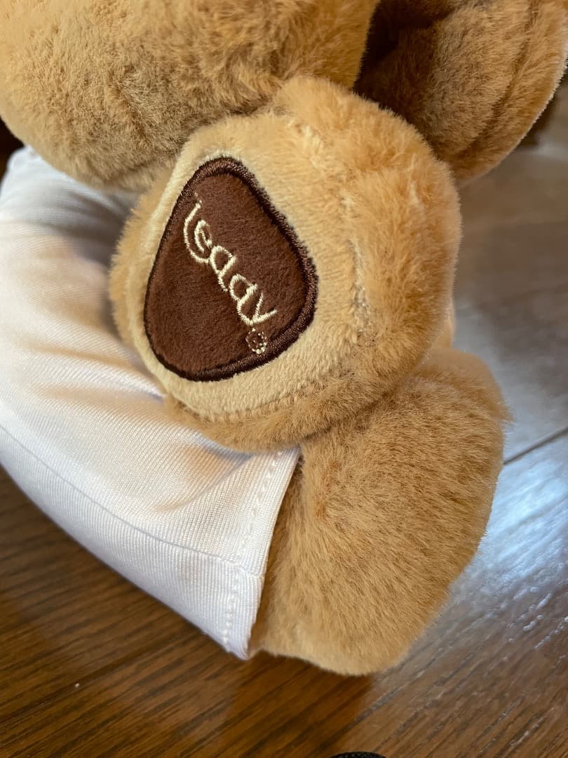 Meddyteddy ヨガ　くま　ぬいぐるみ