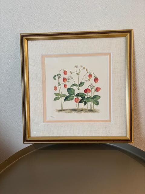 限定2500円OFF ロンドンV&A　フラワーアート　2点　額装＆マット付き