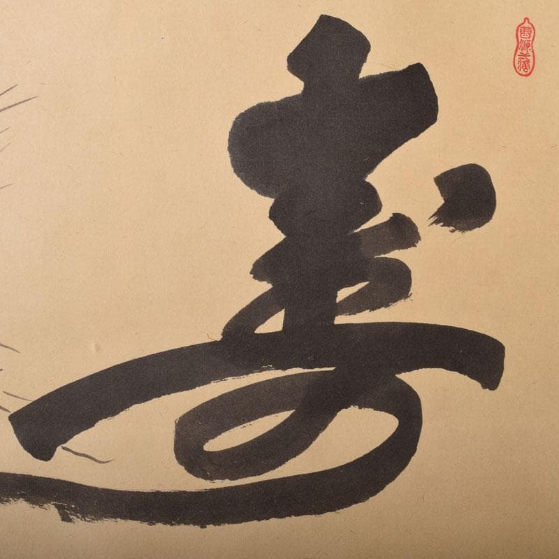 掛軸　前大徳　大橋香林筆　「寿に若松の図」　紫野　細合喝堂識箱　C　6852A