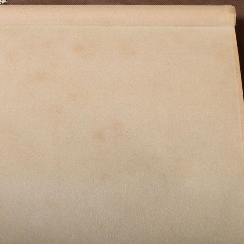 掛軸　前大徳　大橋香林筆　「寿に若松の図」　紫野　細合喝堂識箱　C　6852A