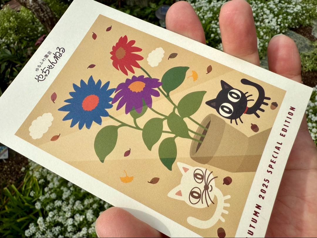 ◆『はちみつパンさん専用』　ゆるふわ園芸やっちゃんねる