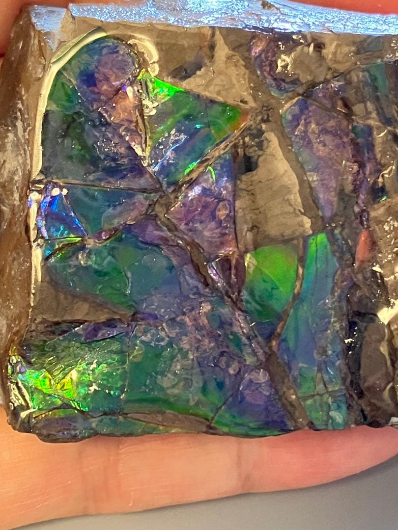 化石　原石　アンモライト　アンモナイト　幅7.7cm カナダ産　箱付き