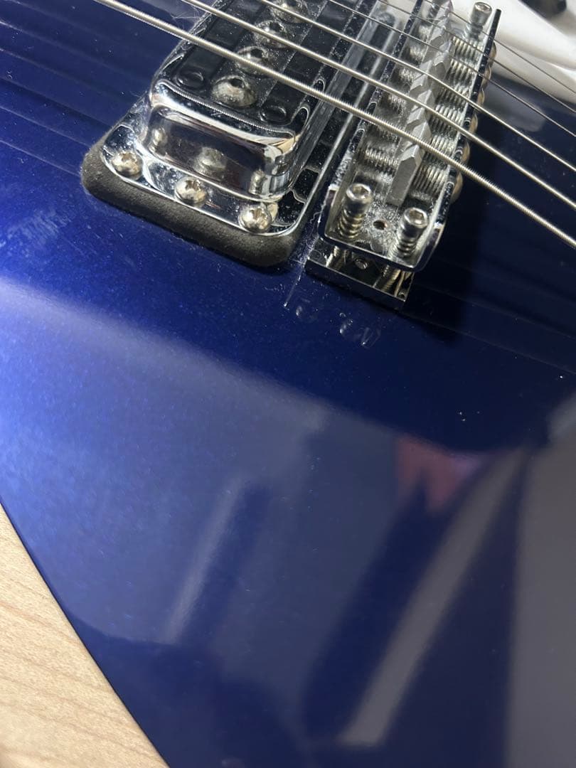 【はとぽぽ】リッケンバッカー330