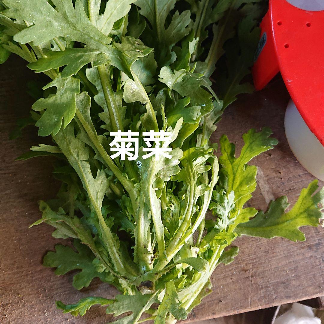 冬野菜、御所柿セット奈良県産