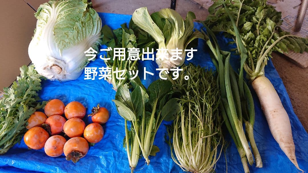 冬野菜、御所柿セット奈良県産