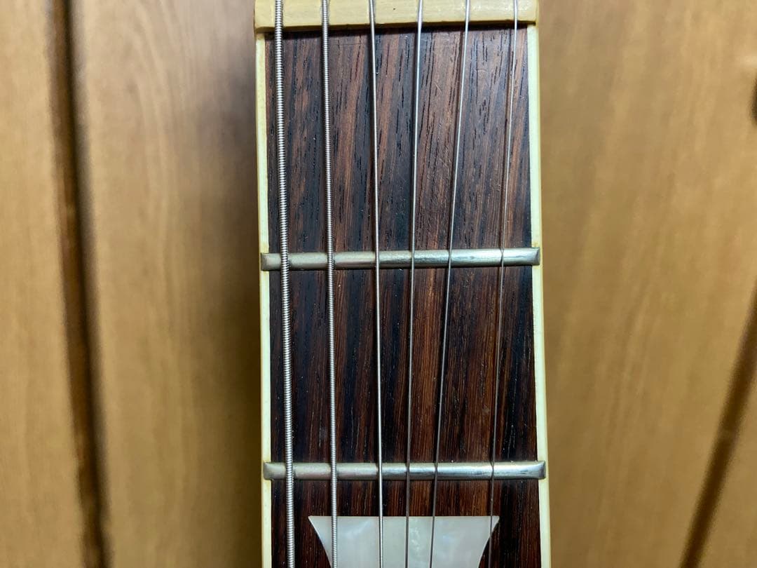 KAN☆　名機Bacchus Live Road エレキギター