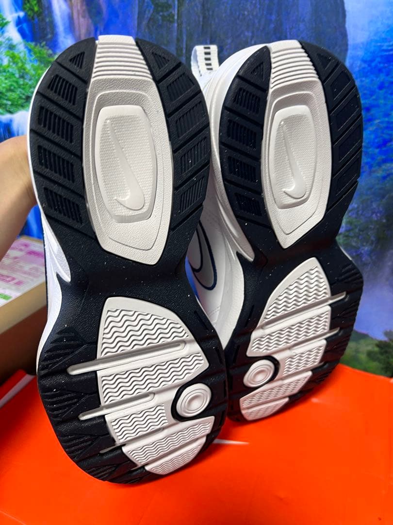 シューズ(男性用) NIKE IAR size 25cm