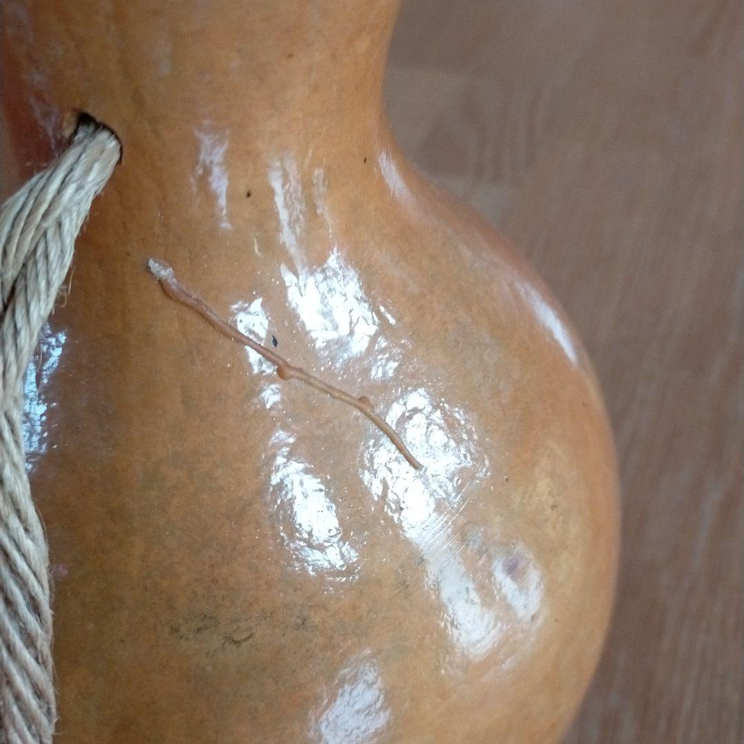 フラダンス　イプ　(手作りケース付)