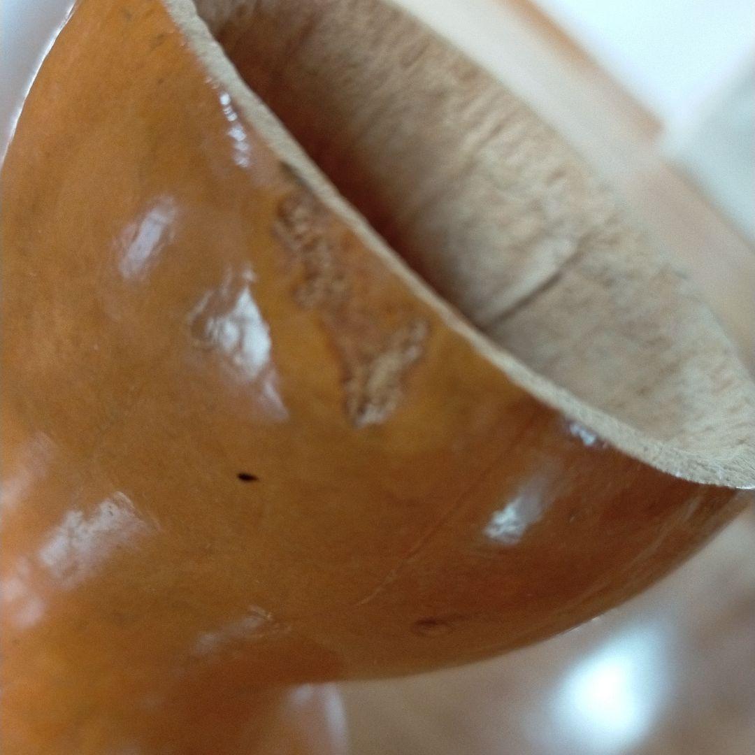 フラダンス　イプ　(手作りケース付)